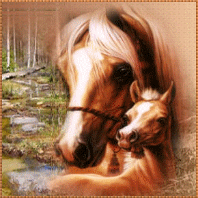 horse graphics
