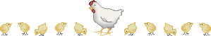chicken graphics